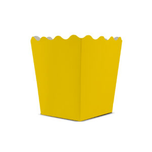Cachepot Pequeno Cores Lisas