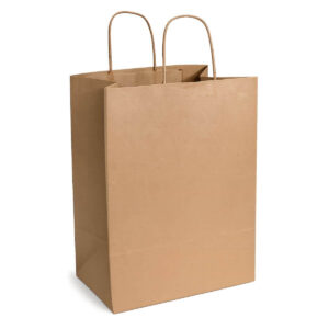 Sacola G - Papel Reciclado com Alça de Papel